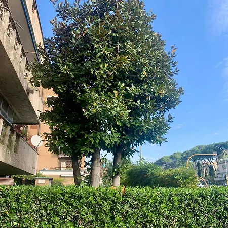 Appartement Big Crirè At 724